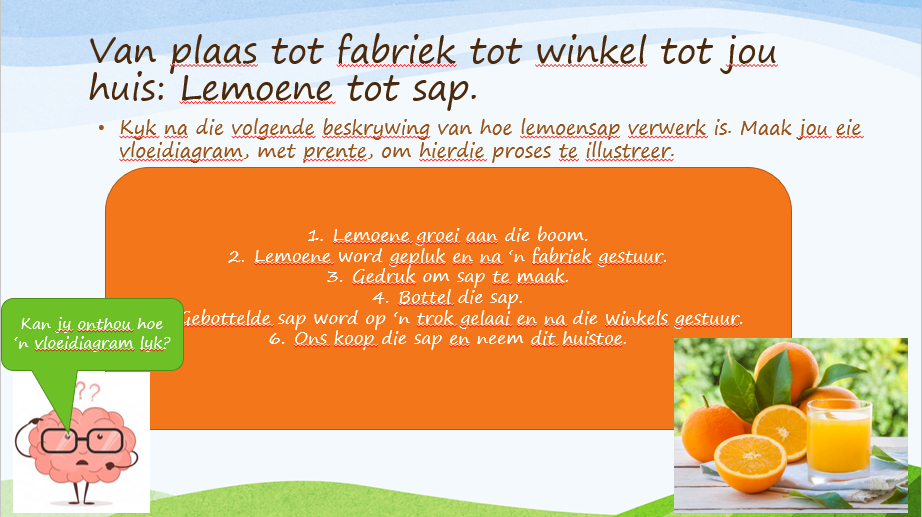 Geografie - Graad 4 - Kwartaal 3 Power Point - Image 7