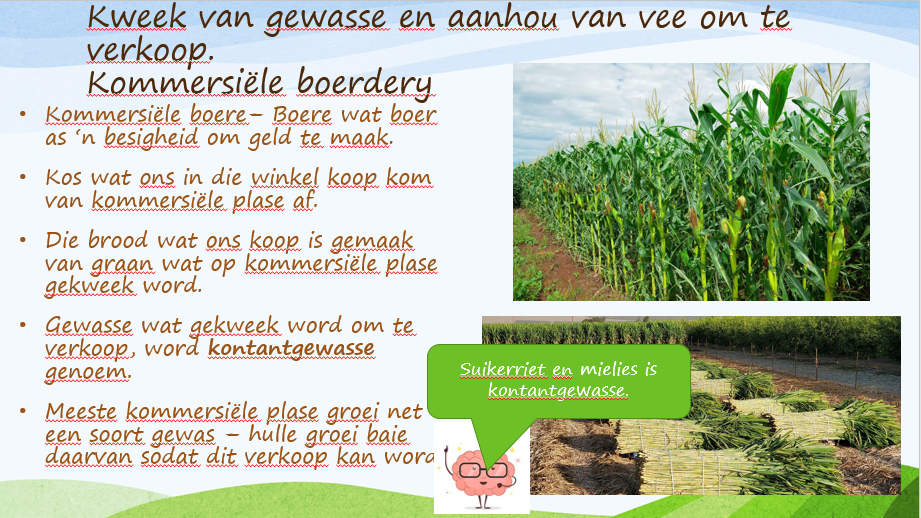 Geografie - Graad 4 - Kwartaal 3 Power Point - Image 11