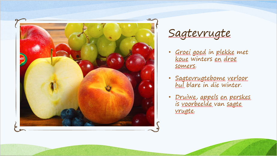 Geografie - Graad 4 - Kwartaal 3 Power Point - Image 3