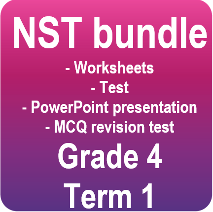 NS bundle - Grade 4 - Term 1
