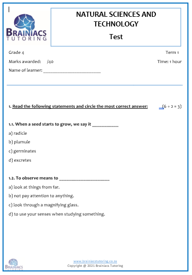 ns bundle grade 4 term 1 brainiacs tutoring centre