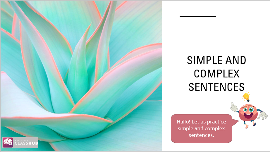 Simple and complex sentences - Image 2