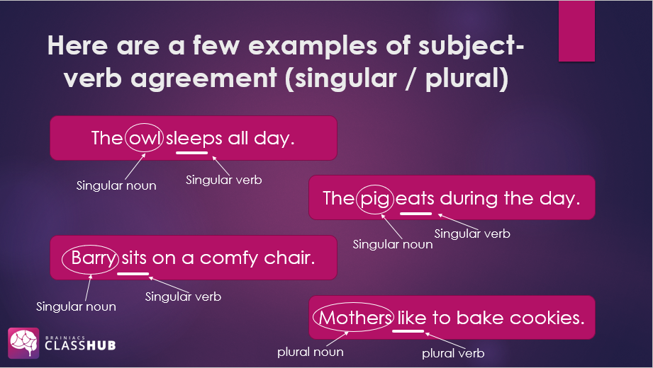 Subject-verb agreement - Image 4