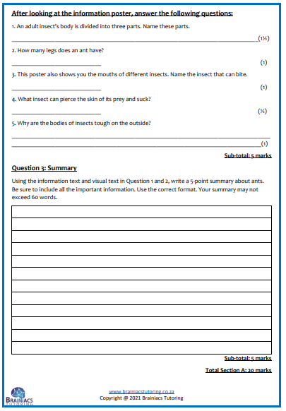 English HL Term 4 Examination - Grade 4 - Image 5