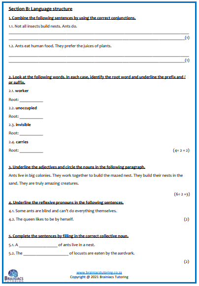 English HL Term 4 Examination - Grade 4 - Image 6