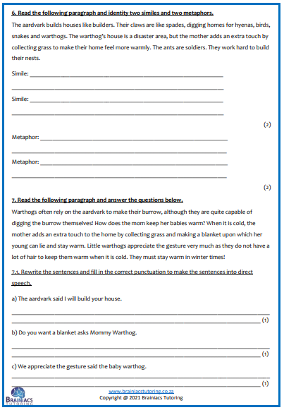 English HL Term 4 Examination - Grade 4 - Image 7