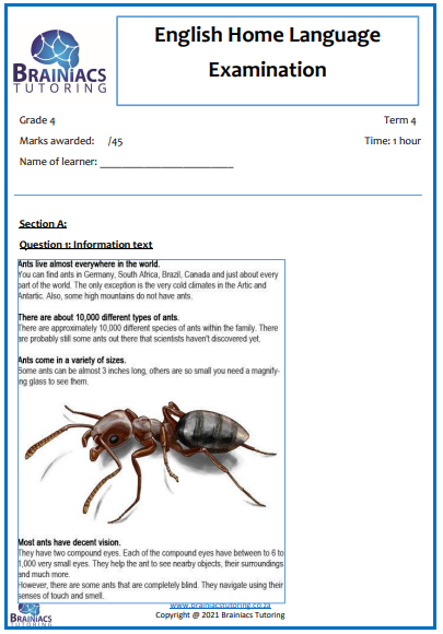 English HL Term 4 Examination - Grade 4 - Image 2