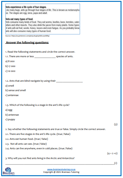 English HL Term 4 Examination - Grade 4 - Image 3