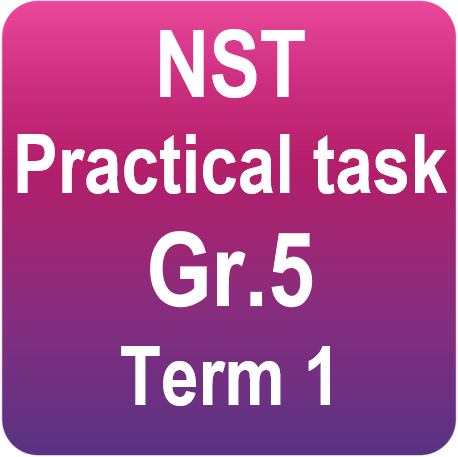 Practical task - Gr.5 Term 1