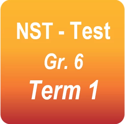 NST test - Gr.6 Term 1