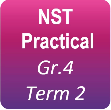 Practical task - Gr.4 Term 2