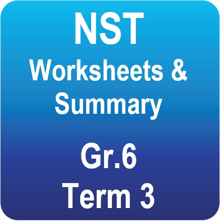 Gr.6 NST summary - Term 3