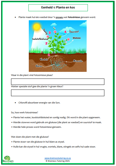 NWT opsomming & werkkaarte - Gr.6 - Kwartaal 1 - Image 2