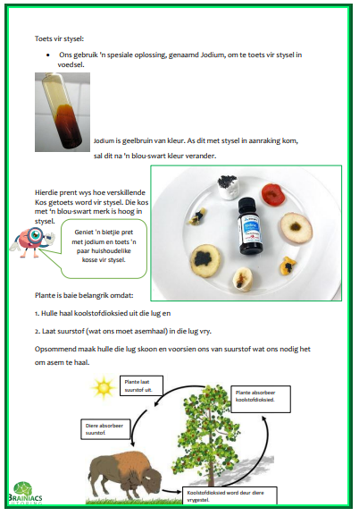 NWT opsomming & werkkaarte - Gr.6 - Kwartaal 1 - Image 3