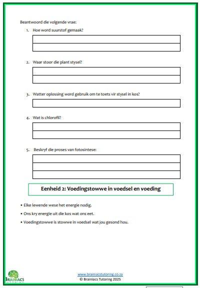 NWT opsomming & werkkaarte - Gr.6 - Kwartaal 1 - Image 4