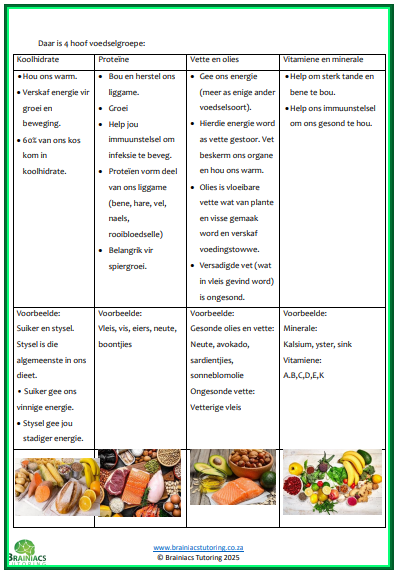 NWT opsomming & werkkaarte - Gr.6 - Kwartaal 1 - Image 5