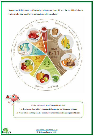 NWT opsomming & werkkaarte - Gr.6 - Kwartaal 1 - Image 6