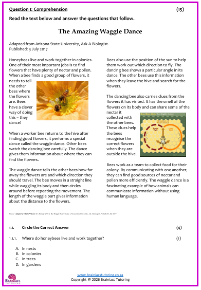 English FAL Examination - Gr.5 - Term 4 - Image 4