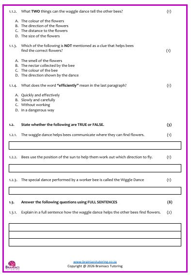 English FAL Examination - Gr.5 - Term 4 - Image 5