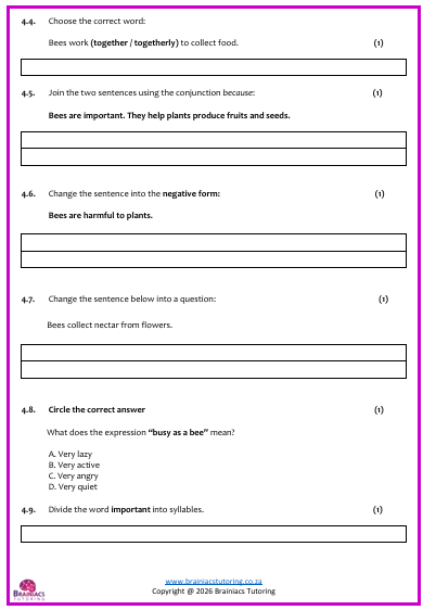 English FAL Examination - Gr.5 - Term 4 - Image 3